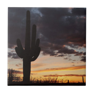 Saguaro Sunset III Arizona Desert liggande Kakelplatta
