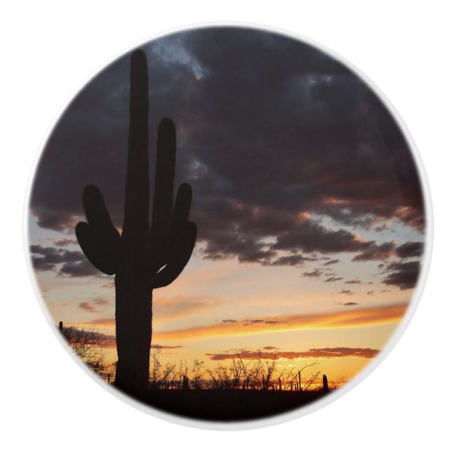 Saguaro Sunset III Arizona Desert liggande Knopp (Framsidan)