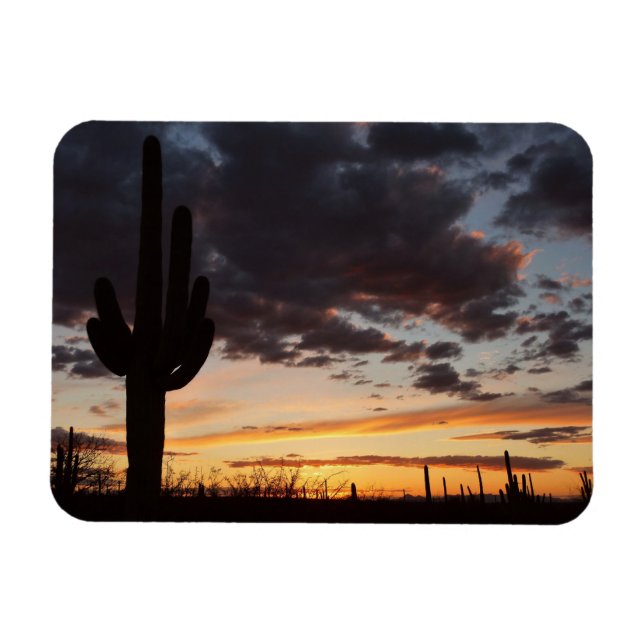 Saguaro Sunset III Arizona Desert liggande Magnet (Horisontell)