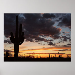 Saguaro Sunset III Arizona Desert liggande Poster