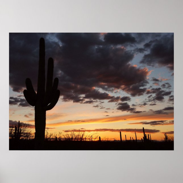 Saguaro Sunset III Arizona Desert liggande Poster (Framsidan)