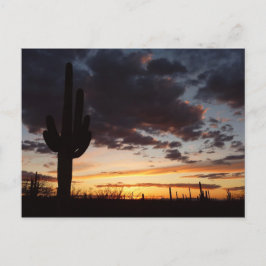 Saguaro Sunset III Arizona Desert liggande Vykort