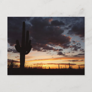 Saguaro Sunset III Arizona Desert liggande Vykort
