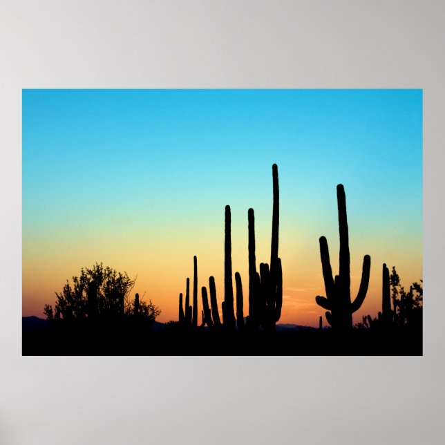 Saguaro Sunset Poster (Framsidan)