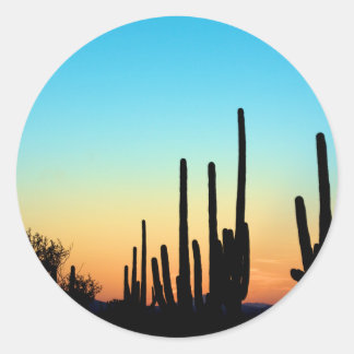 Saguaro Sunset Runt Klistermärke