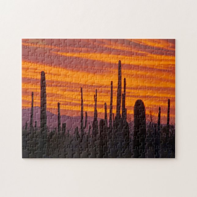 Saguaro, sunset, Saguaros nationalpark Pussel (Horisontell)