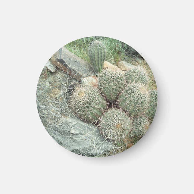 Saguaro Swirl Cactus Refrigerator Gift Magnet (Framsidan)