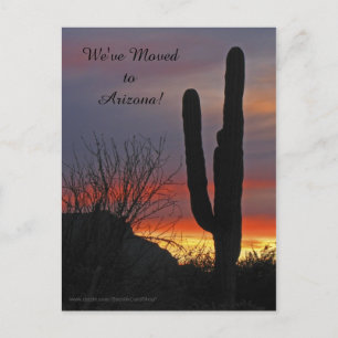 Saguaro vid solnedgång, Ny adressmeddelande Meddelande Vykort