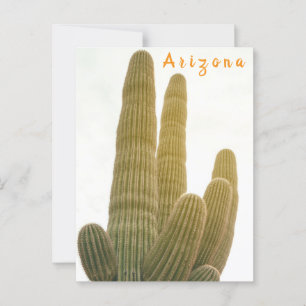 Saguaro Vykort