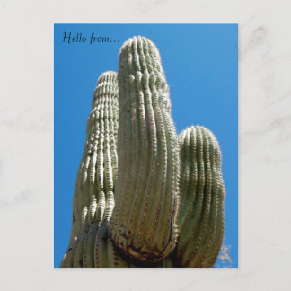 Saguaro-vykort Vykort