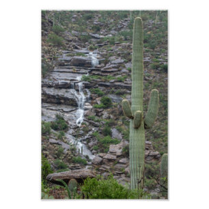 Saguaro with Waterfall in the Arizona Desert Fototryck