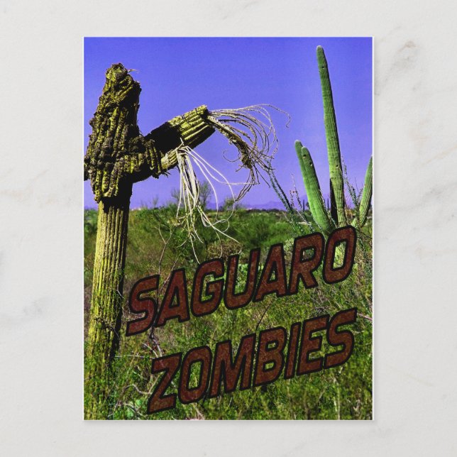 Saguaro Zombies Zombie 2 Vykort (Framsida)