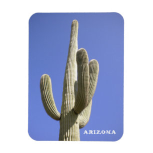 Saguarokaktus - Arizona - magnet