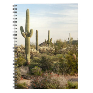 Saguarokaktus, Arizona, USA Anteckningsbok Med Spiral