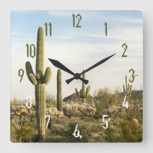 Saguarokaktus, Arizona, USA Fyrkantig Klocka