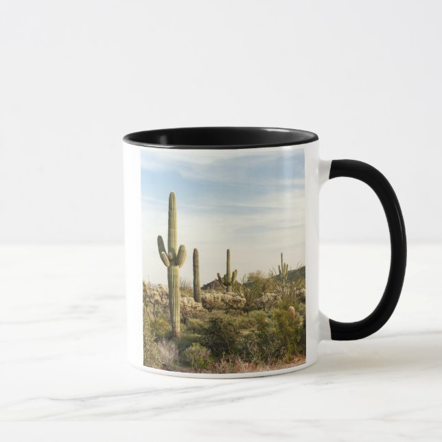 Saguarokaktus, Arizona, USA Mugg (Höger)