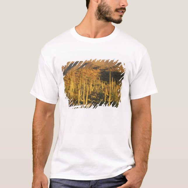 Saguarokaktus i Saguaro National Park nära T-shirt (Framsida)