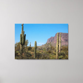 Saguarokaktus i Sonoraöknen i Arizona Canvastryck