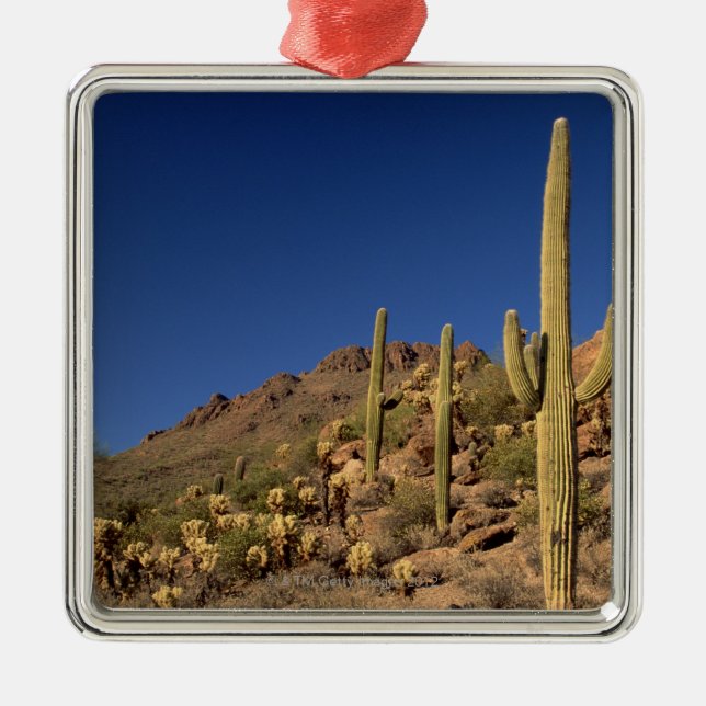 Saguarokaktus och Tucson berg, Tucson Julgransprydnad Metall (Framsidan)