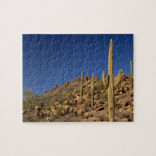 Saguarokaktus och Tucson berg, Tucson Pussel