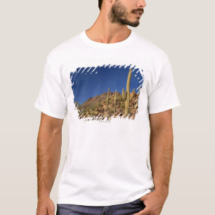 Saguarokaktus och Tucson berg, Tucson T Shirt