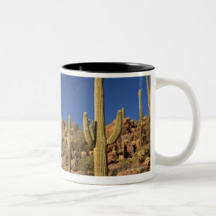 Saguarokaktus och Tucson berg, Tucson Två-Tonad Mugg