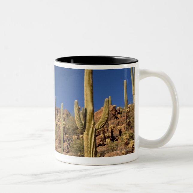 Saguarokaktus och Tucson berg, Tucson Två-Tonad Mugg (Höger)