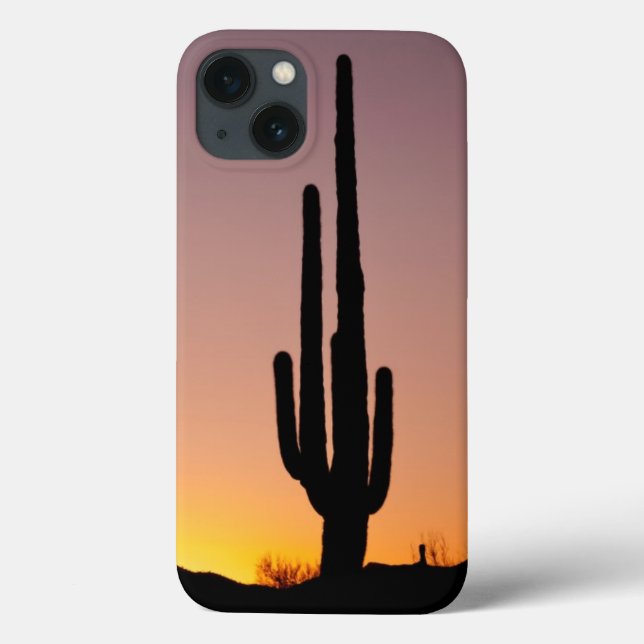 Saguarokaktus på solnedgången (Baksida)