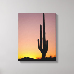 Saguarokaktus på solnedgången canvastryck