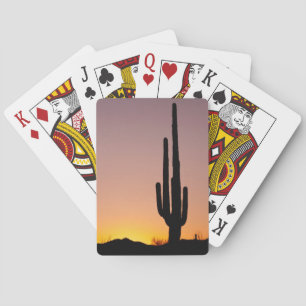 Saguarokaktus på solnedgången casinokort