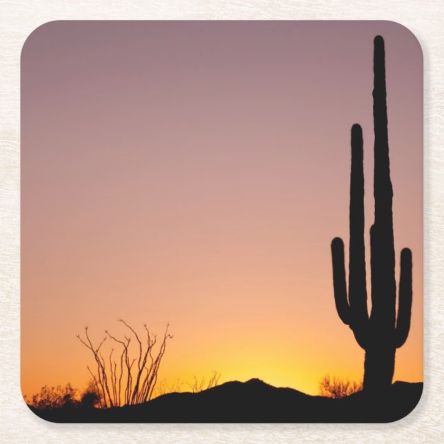 Saguarokaktus på solnedgången underlägg papper kvadrat (Framsidan)