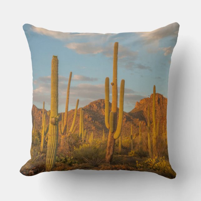 Saguarokaktus vid solnedgång, Arizona Kudde (Framsida)
