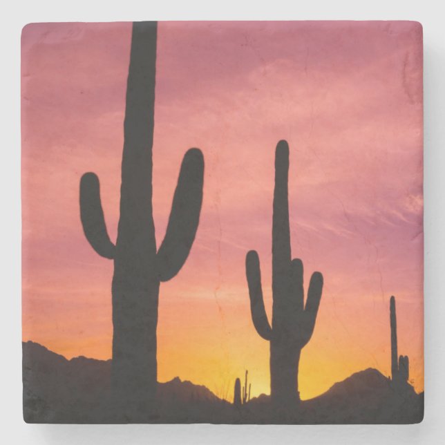 Saguarokaktus vid soluppgång, Arizona Stenunderlägg (Framsidan)