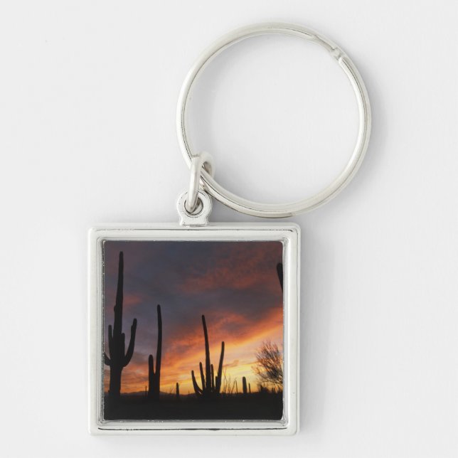 saguarokaktusar, Carnegiea gigantea, efter Fyrkantig Silverfärgad Nyckelring (Framsidan)