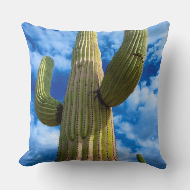Saguarokaktusporträtt, Arizona Kudde (Framsida)