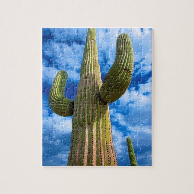 Saguarokaktusporträtt, Arizona Pussel (Vertikal)