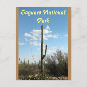 Saguaronationalpark, Tuscon Arizona vykort