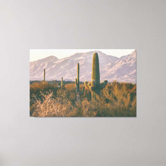 Saguaros Canvastryck (Framsida)