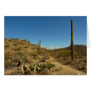 Saguaro's Carillo Trail i Saguaro National Park Hälsningskort