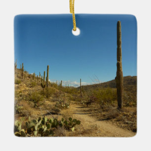 Saguaros Carillo Trail i Saguaro National Park Julgransprydnad Keramik