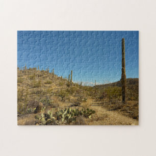 Saguaro's Carillo Trail i Saguaro National Park Pussel