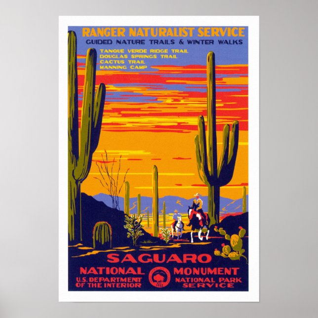 Saguaros nationalmonument poster (Framsidan)