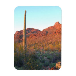 Saguaros nationalpark magnet