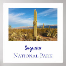 Saguaros nationalpark