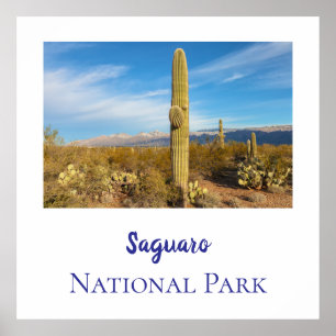 Saguaros nationalpark poster