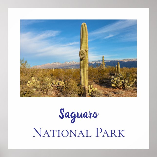 Saguaros nationalpark poster (Framsidan)