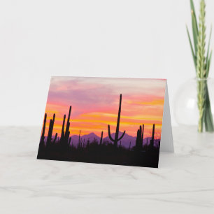 Saguaroskog vid solnedgång kort