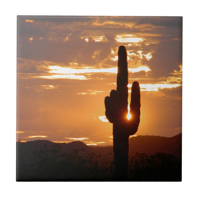 Saguarostrålar Kakelplatta (Framsidan)