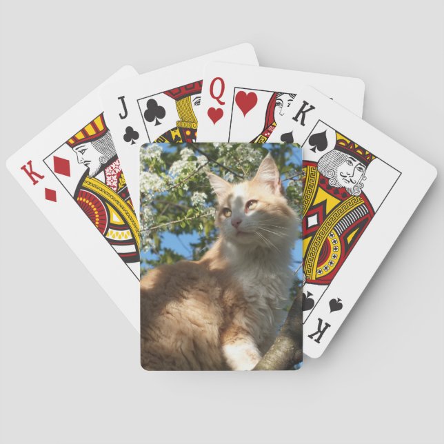 Sahara Cat på ett Träd-spelkort Kortlek (Baksidan)