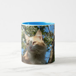 Sahara Cat Wrap Around Mugg